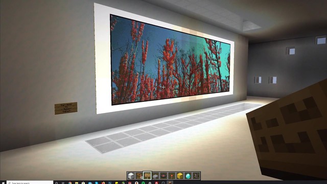 Nhiếp ảnh ra tạo phòng triễn lãm ảo trong Minecraft để gây quỹ từ thiện - Ảnh 4.