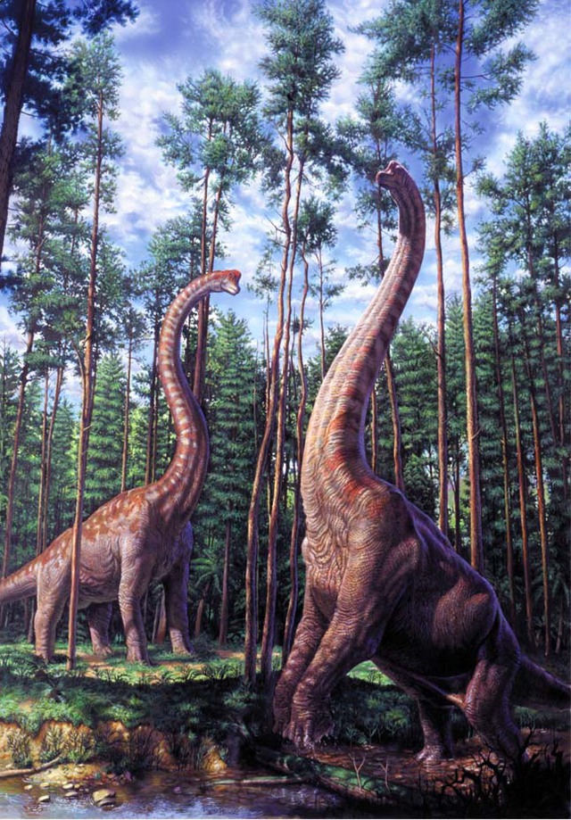 Top 5 điều thú vị mà có thể bạn chưa biết về khủng long Sauropod - Ảnh 3.