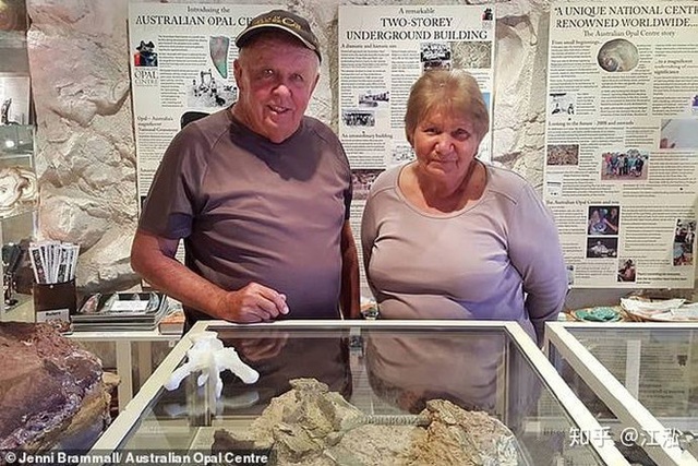 Úc phát hiện ra hóa thạch khủng long biến thành đá quý - Ảnh 6.