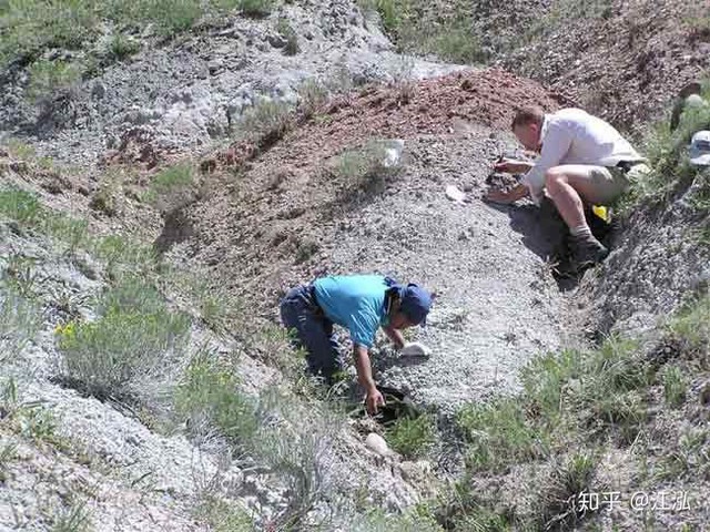 Phát hiện loài khủng long sống dưới lòng đất 100 triệu năm trước - Ảnh 1.