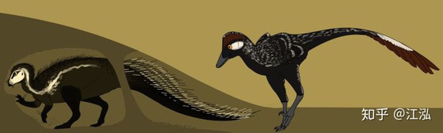 Phát hiện loài khủng long sống dưới lòng đất 100 triệu năm trước - Ảnh 7.