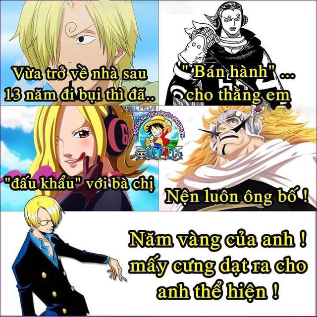 One Piece: Chết cười với loạt ảnh chế về Bộ ba quái vật của băng Mũ Rơm, đẹp trai có tài nhưng đều tấu hài - Ảnh 17.