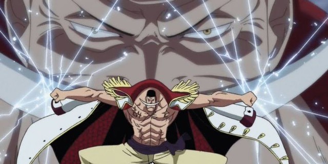 One Piece: Sở hữu sức mạnh bá đạo đóng băng mọi thứ nhưng Hie Hie no Mi vẫn phải chào thua trước 10 trái ác quỷ này (P1) - Ảnh 1.