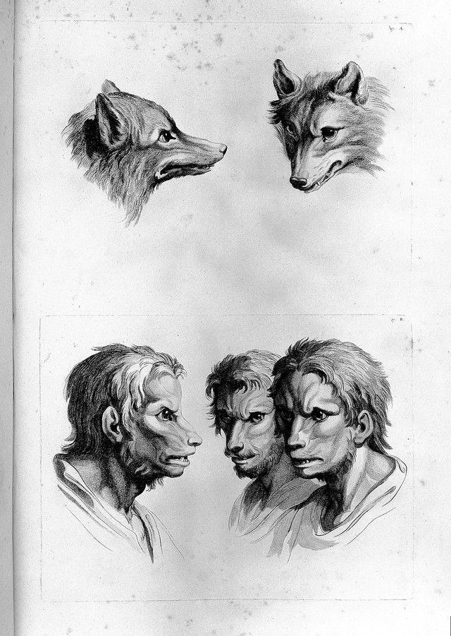 Những vụ săn lùng người sói tàn bạo và khủng khiếp từng diễn ra ở châu Âu thời xưa - Ảnh 2.