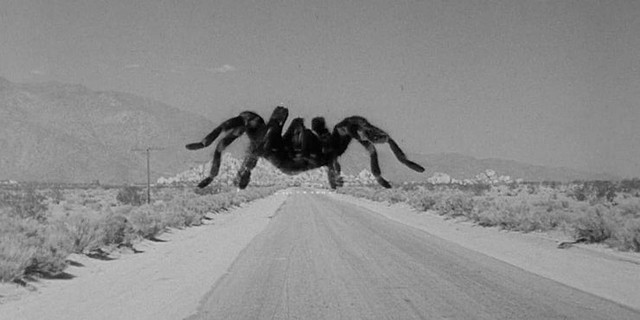 ‘Rợn tóc gáy’ với loạt phim kinh dị về nhện và côn trùng siêu ám ảnh - Ảnh 4.