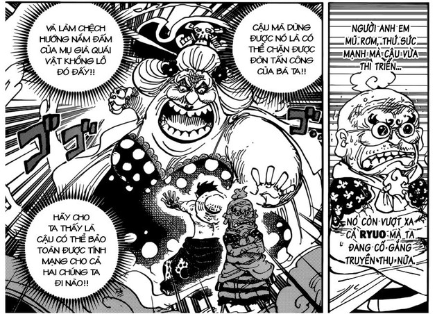 One Piece: Mối liên hệ giữa Ryuo cấp cao của các Cửu Hồng Bao và thanh Thu Thuỷ của Zoro - Ảnh 3.
