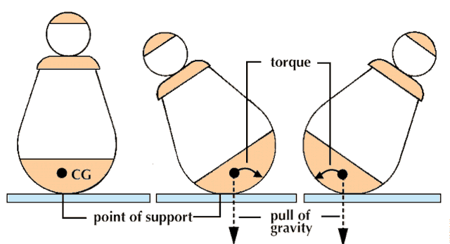 Vì sao con lật đật không bao giờ bị ngã? - Ảnh 3.