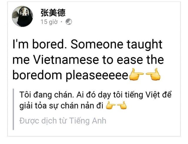 Cười nghiêng ngả khi cư dân mạng dạy tiếng Việt trên Facebook cho người nước ngoài - Ảnh 1.