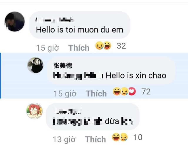 Cười nghiêng ngả khi cư dân mạng dạy tiếng Việt trên Facebook cho người nước ngoài - Ảnh 4.