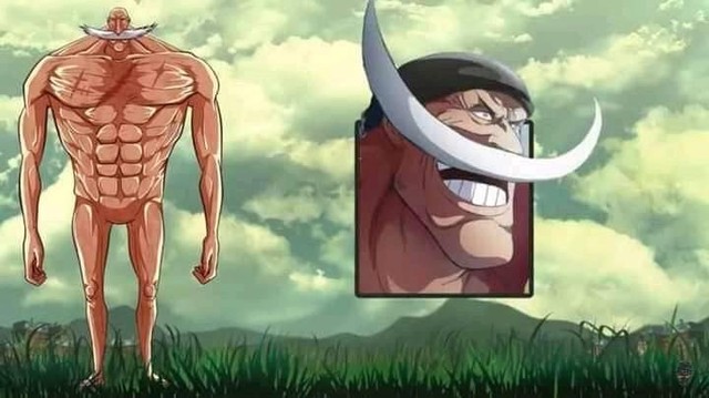 Giật mình khi thấy các nhân vật trong One Piece hóa Titan, Shanks cụt tay, Zoro vẫn đi lạc - Ảnh 10.