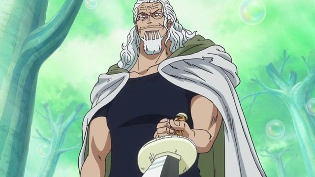 One Piece: 5 điểm tương đồng giữa Zoro và Silvers Rayleigh, là sự trùng hợp hay cố ý của Oda? - Ảnh 2.