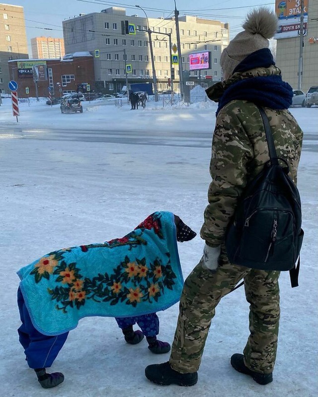 Những bức ảnh cho thấy thời tiết ở Nga lạnh vô đối như thế nào - Ảnh 3.