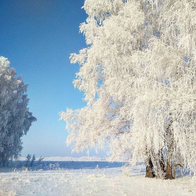 Những bức ảnh cho thấy thời tiết ở Nga lạnh vô đối như thế nào - Ảnh 11.