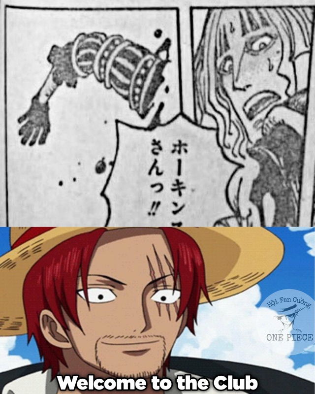 Cười vỡ bụng trước loạt ảnh chế hài hước về diễn biến mới nhất của One Piece, sức mạnh của Sanji trở thành vựa muối - Ảnh 7.