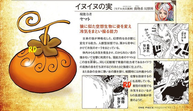 One Piece: Hình dáng trái ác quỷ của Kaido và Yamato được hé lộ, hai cha con đều đặc biệt thế này thì ai đọ cho nổi - Ảnh 3.