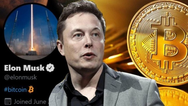 Bill Gates cảnh báo: Nếu không giàu như Elon Musk thì đừng dại đổ tiền vào Bitcoin - Ảnh 3.