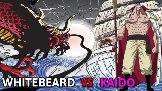 One Piece: Sau màn Râu Trắng dạy dỗ Oden, liệu Tứ Hoàng này có mạnh vượt trội so với Kaido? - Ảnh 3.