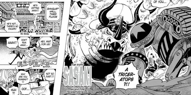 One Piece: 7 trái ác quỷ Zoan cổ đại mới xuất hiện ở arc Wano, tất cả đều thuộc về băng Bách Thú - Ảnh 4.