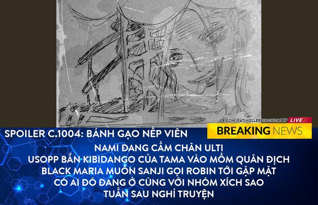 Spoil nhanh One Piece chap 1004: Usopp phối hợp Tama bắn Kibidango để thuần hoá quân của Kaido - Ảnh 1.