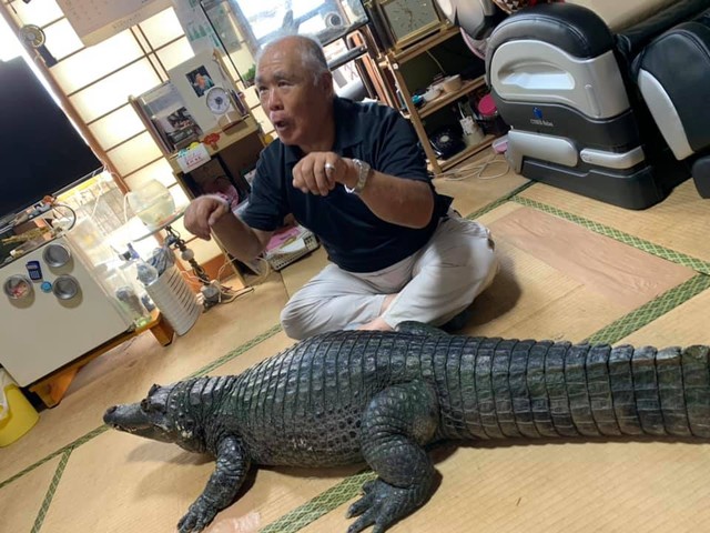 Mất kiên nhẫn với vợ, người đàn ông Nhật Bản nuôi cá sấu để dằn mặt cho biết - Ảnh 3.