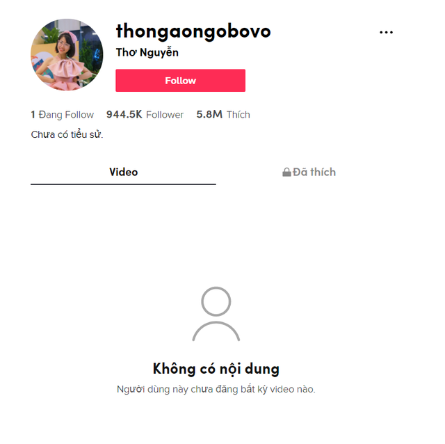 TikTok của Thơ Nguyễn bất ngờ trống trơn, phía quản lý nhắn nhủ: “Hãy là người xem thông thái!” - Ảnh 3.