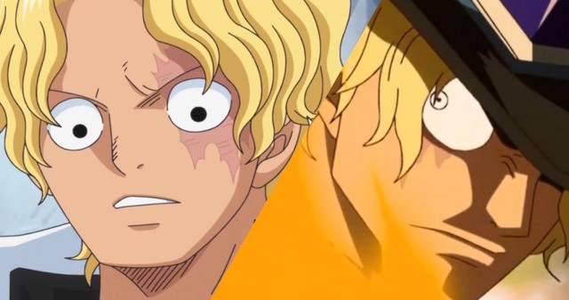 One Piece: Top 10 bí mật nhiều fan lâu năm cũng chưa biết hết về anh trai Luffy, số 5 gây bất ngờ lớn - Ảnh 10.