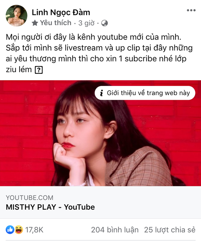 Gần như “toang” kênh YouTube 6 triệu subs, MisThy hé lộ lý do vì “xài đồ chùa - Ảnh 4.