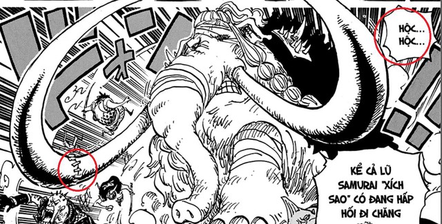 Soi những chi tiết thú vị trong One Piece chap 1005: Yamato và Black Maria lần lượt khiến độc giả “nóng mắt” (P.2) - Ảnh 10.
