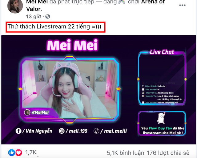 Nghỉ lễ, nữ streamer Liên Quân chơi dại, thử thách livestream liền 22 tiếng - Ảnh 1.