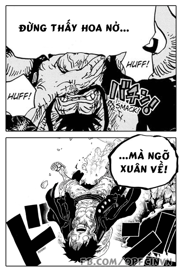 One Piece: Kaido và bài học dành cho Luffy đừng thấy hoa nở mà ngỡ xuân về - Ảnh 1.