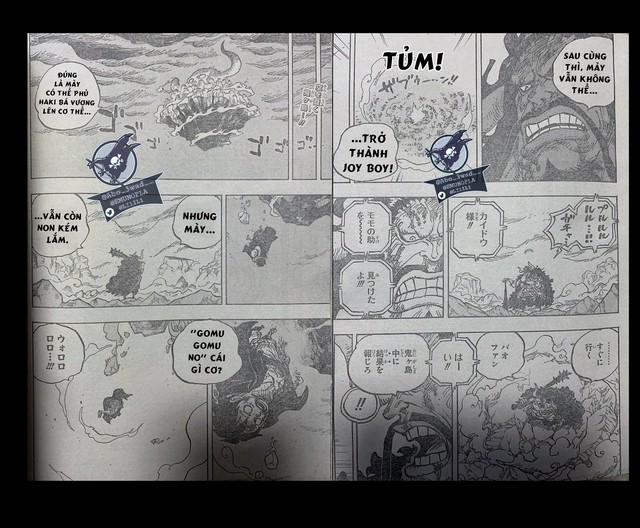 One Piece 1014: Các fan phấn khích trước cảnh Luffy rơi tự do xuống biển, Kaido thách thức main sao không gáy tiếp - Ảnh 1.