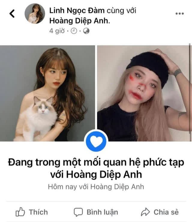 Nhìn dàn “hậu cung” đẹp và “chất” của Linh Ngọc Đàm, các đấng mày râu ghen tỵ phát hờn với nữ streamer - Ảnh 9.