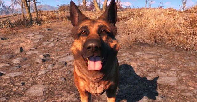 Cộng đồng thương tiếc sự ra đi của River, chú chó linh vật của Fallout 4 - Ảnh 1.