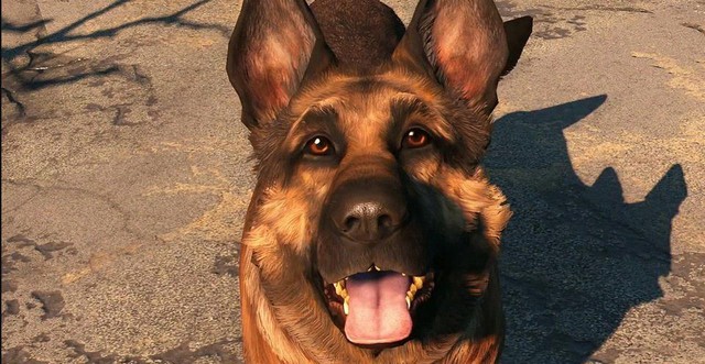Cộng đồng thương tiếc sự ra đi của River, chú chó linh vật của Fallout 4 - Ảnh 5.