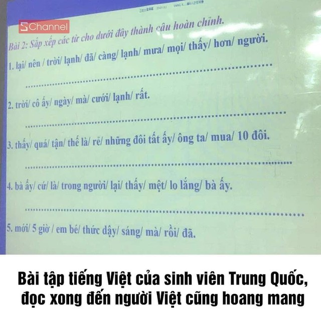 CĐM xôn xao trước bài tập tiếng Việt cho sinh viên nước ngoài, nhiều người đọc xong cũng thấy hoang mang - Ảnh 1.