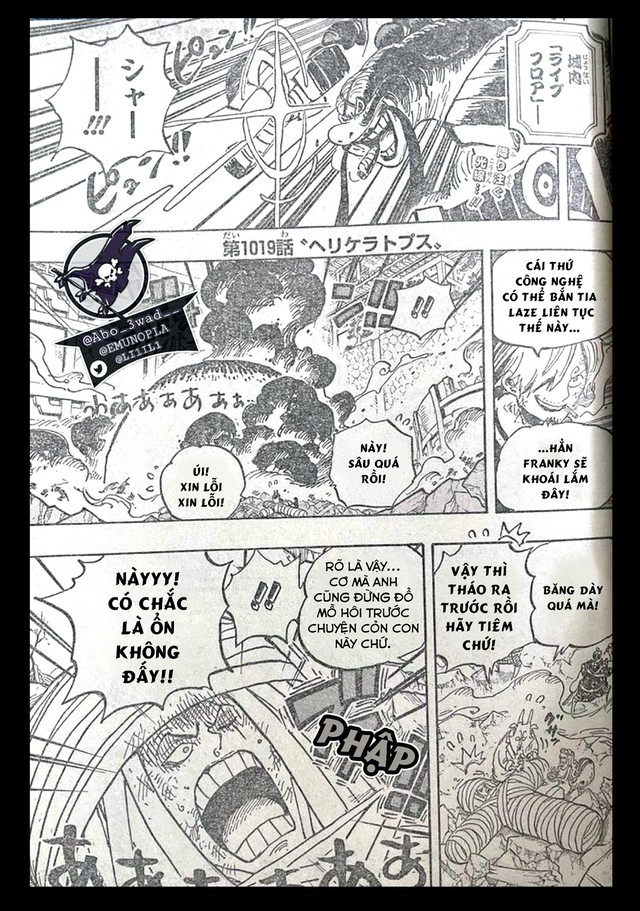 One Piece: Là một kiếm sĩ mạnh mẽ trong băng Mũ Rơm tuy nhiên Zoro lại sợ một mũi tiêm? - Ảnh 1.