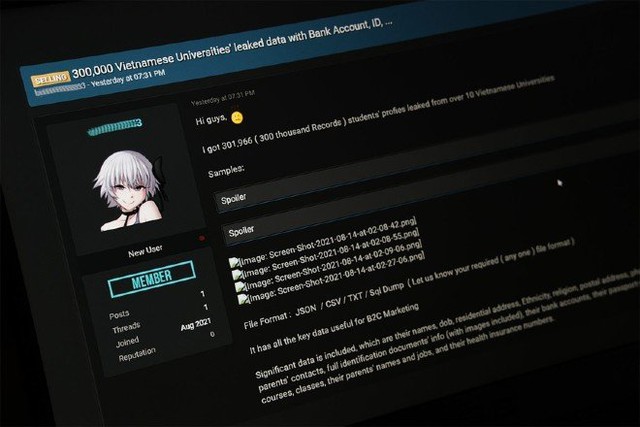 Hơn 300.000 thông tin sinh viên Việt Nam bị hacker rao bán - Ảnh 1.