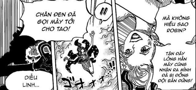 One Piece: Robin gọi Sanji là chiếc cánh của Vua Hải Tặc hoàn toàn có lý do thích hợp - Ảnh 1.