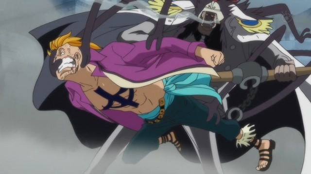 One Piece: Những bằng chứng cho thấy Phượng Hoàng Marco sở hữu Haki quan sát nâng cao có thể nhìn thấu tương lai - Ảnh 4.