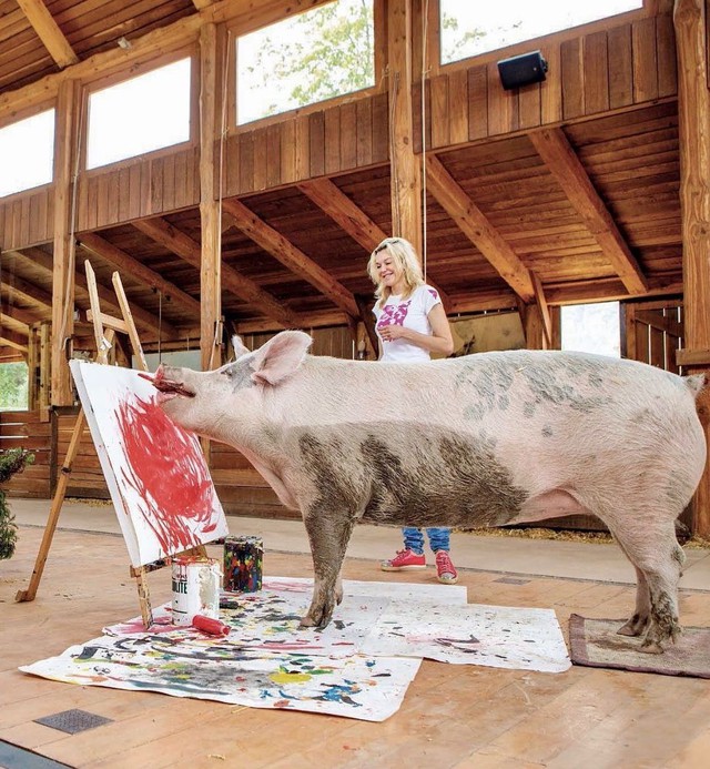 Bất ngờ xuất hiện chú lợn Pig Caso vẽ tranh đẹp không kém người thật, bán một bức kiếm hơn 600 triệu khiến CĐM ngỡ ngàng - Ảnh 2.