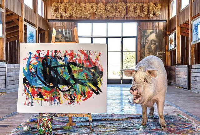 Bất ngờ xuất hiện chú lợn Pig Caso vẽ tranh đẹp không kém người thật, bán một bức kiếm hơn 600 triệu khiến CĐM ngỡ ngàng - Ảnh 5.