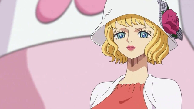 Top 25 nàng waifu xinh đẹp đã được giới thiệu trong One Piece, dàn harem của Luffy mãi đỉnh nhất - Ảnh 19.