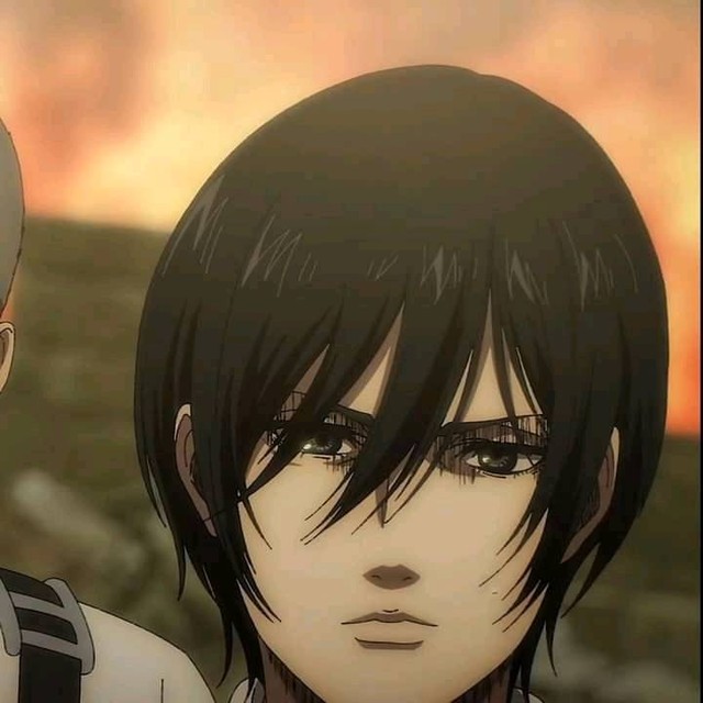 Attack on Titan: Nhìn ánh mắt vô hồn và gương mặt không cảm xúc của Mikasa mà thương cô nàng quá! - Ảnh 11.