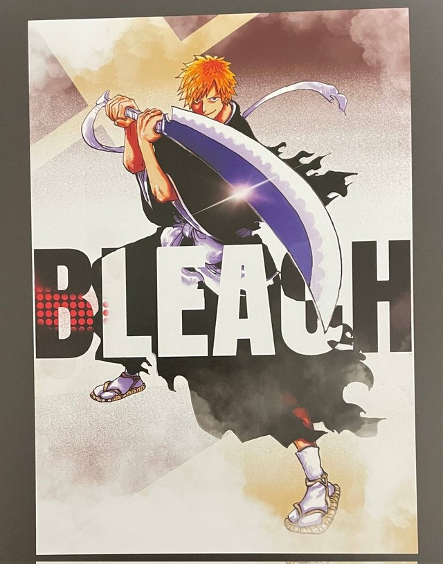 Đáp lại sự ghét bỏ của tác giả Bleach, cha đẻ One Piece đáp lời cậu ấy vẽ đẹp lắm, hôm nào làm vài ly nhé - Ảnh 2.