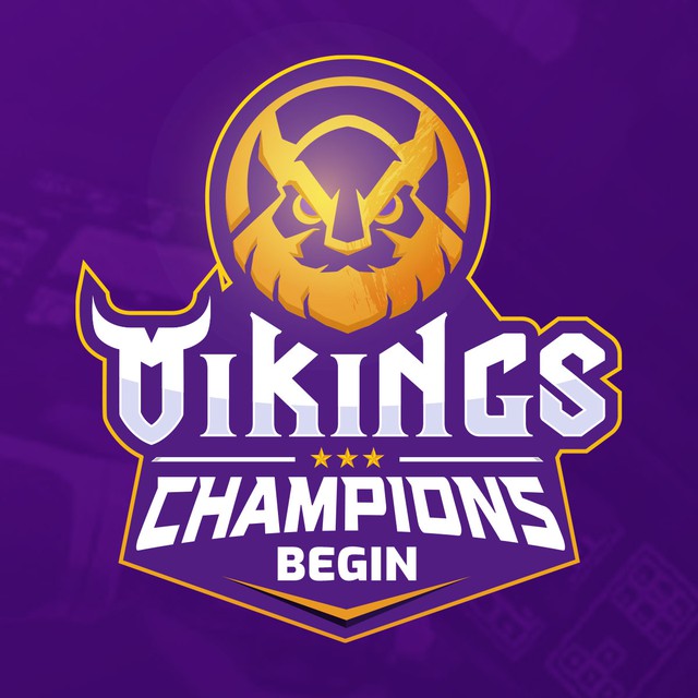 Vikings Gaming - Hành trình 10 năm phát triển song hành cùng Thể thao điện tử nước nhà - Ảnh 12.