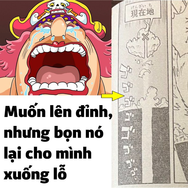 One Piece: Sức mạnh thức tỉnh trái ác quỷ của Law thực sự bá đạo, phải chăng đây là đứa con cưng mới của Oda? - Ảnh 1.