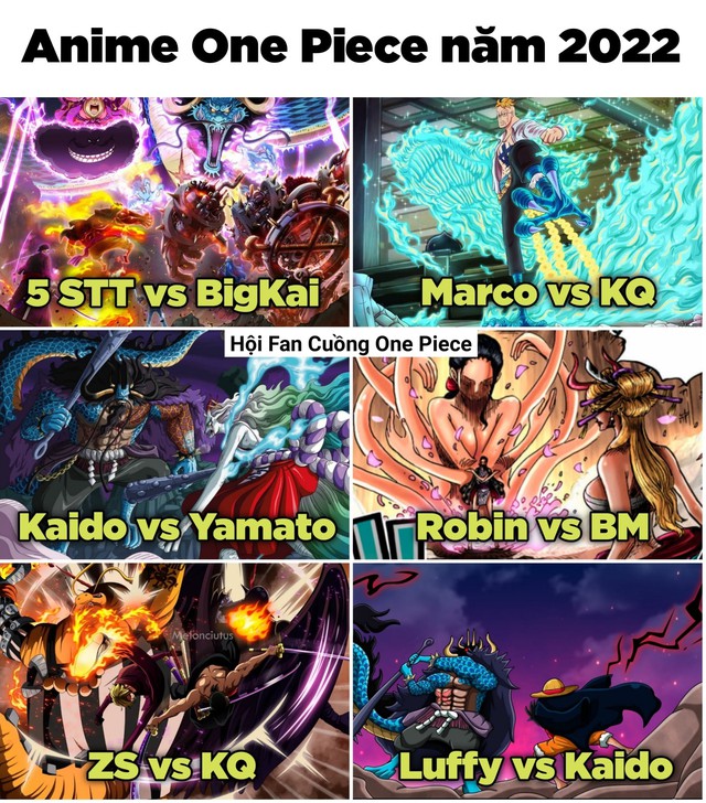 One Piece: Top 7 trận chiến mãn nhãn trong Wano mà khán giả kỳ vọng sẽ được phiên bản anime tái hiện thành công trong năm 2022 - Ảnh 1.