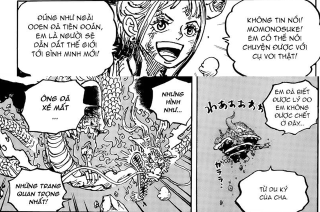 One Piece 1041: 4 thông tin quan trọng được Oden tiết lộ trong nhật ký, vai trò của Momo sẽ gắn chặt với Luffy? - Ảnh 3.