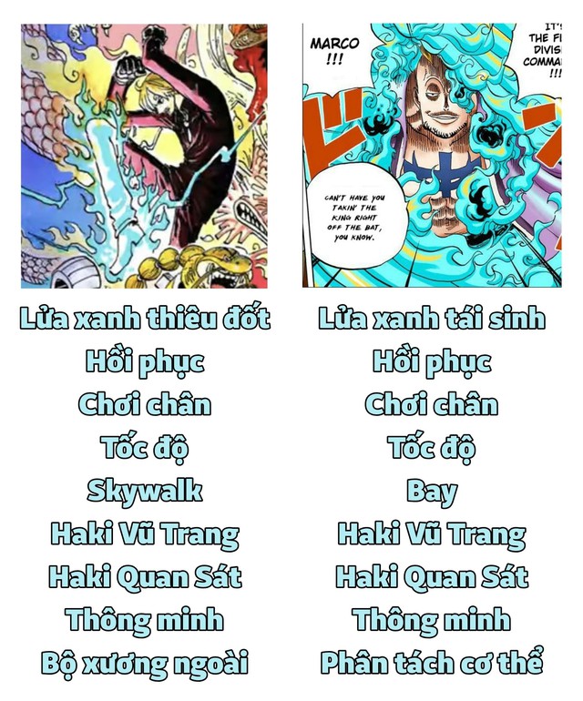 One Piece: Xuất hiện trên trang bìa tập 102, ngọn lửa chiêu thức Ifrit Jambe của Sanji có màu xanh - Ảnh 4.