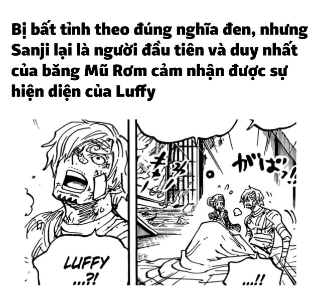 One Piece 1044: Tại sao băng Mũ Rơm và Sanji lần đầu tiên phát hiện ra khả năng mới của Luffy?  - Ảnh 1.